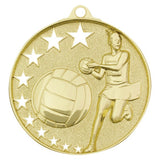 Netball Stars