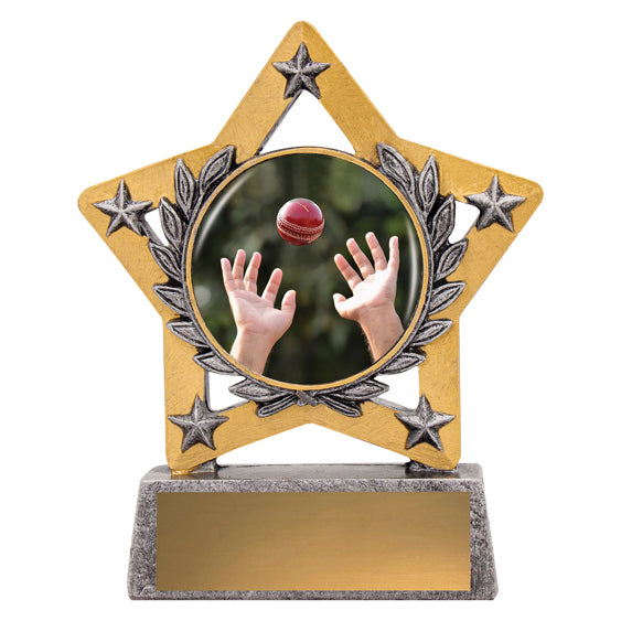 Mini Star Colour - Fielding