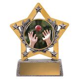 Mini Star Colour - Fielding