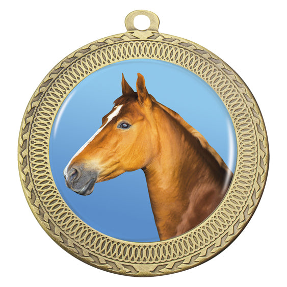 Ovation - Horse