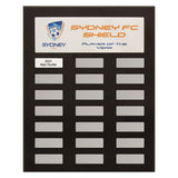 Colour Headline Plaque