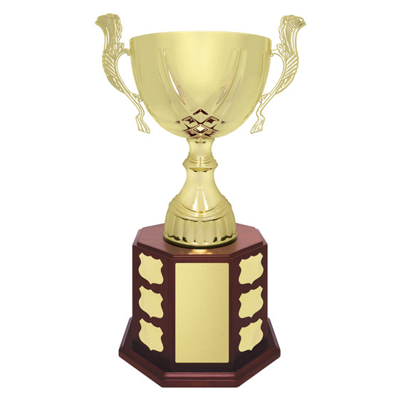 Ensign Cup