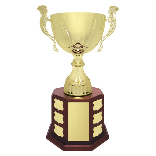 Ensign Cup