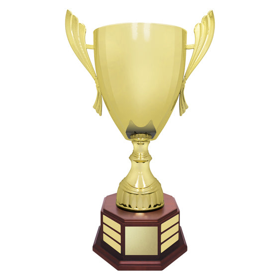 Concordia Cup