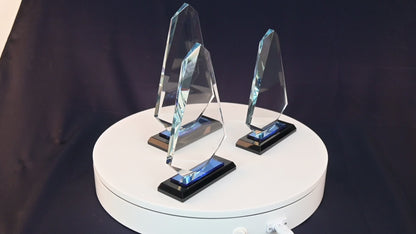 Phoenix Award