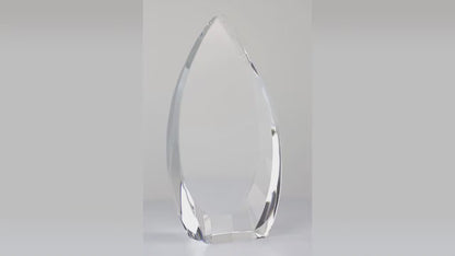 Vincente Award