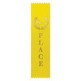 Ribbon - 6th Place