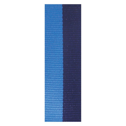 Navy / Light Blue Ribbon