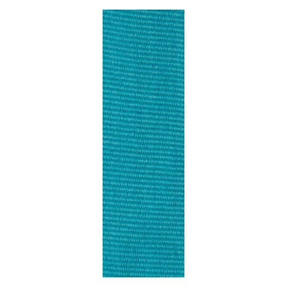 Teal Ribbon