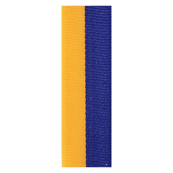 Blue / Gold Ribbon
