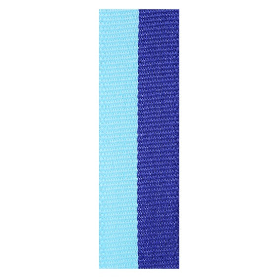 Dark Blue / Light Blue Ribbon