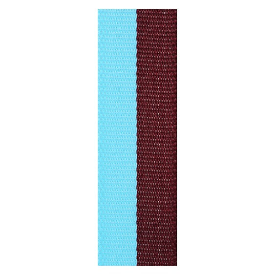 Maroon / Light Blue Ribbon