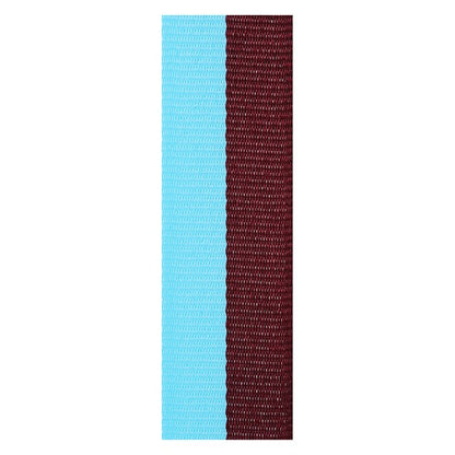 Maroon / Light Blue Ribbon