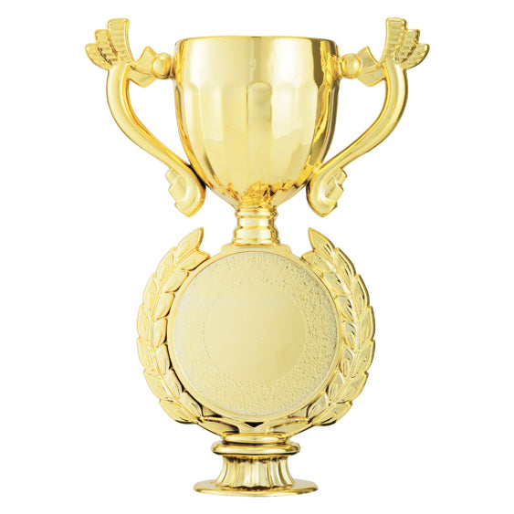Academy Cup