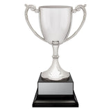Provenance Cup