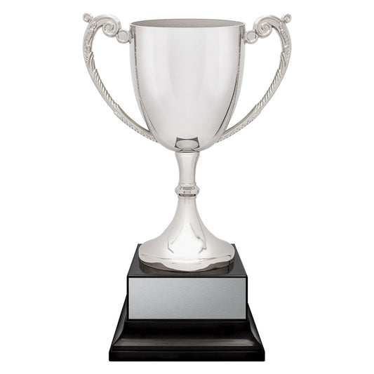 Provenance Cup