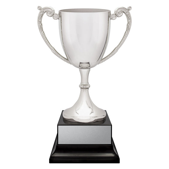 Provenance Cup
