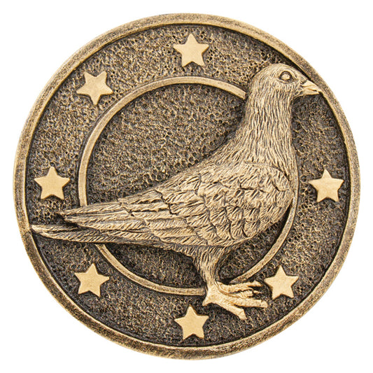 Pigeon