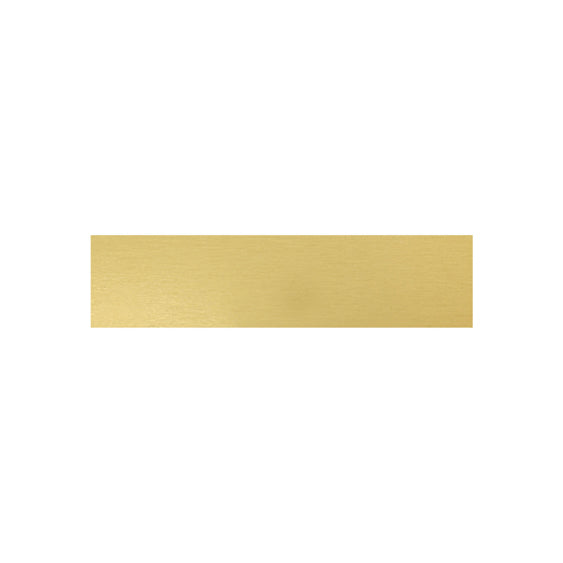 Trophy Plate - 58x14mm