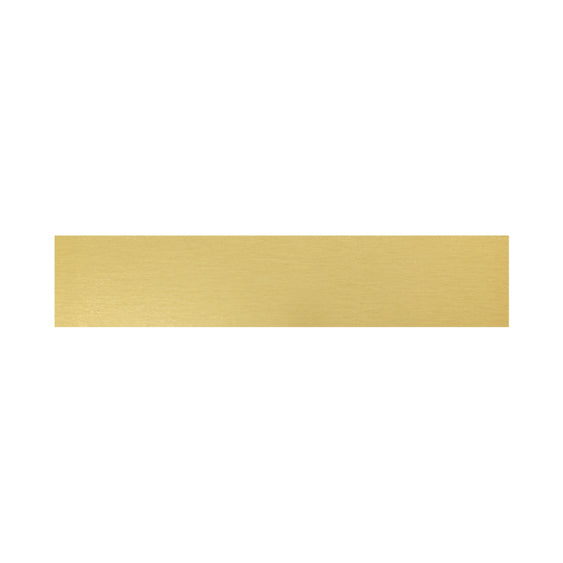 Trophy Plate - 69x14mm