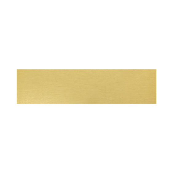 Trophy Plate - 69x17mm