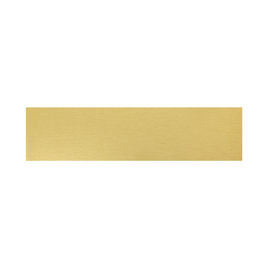 Trophy Plate - 69x17mm