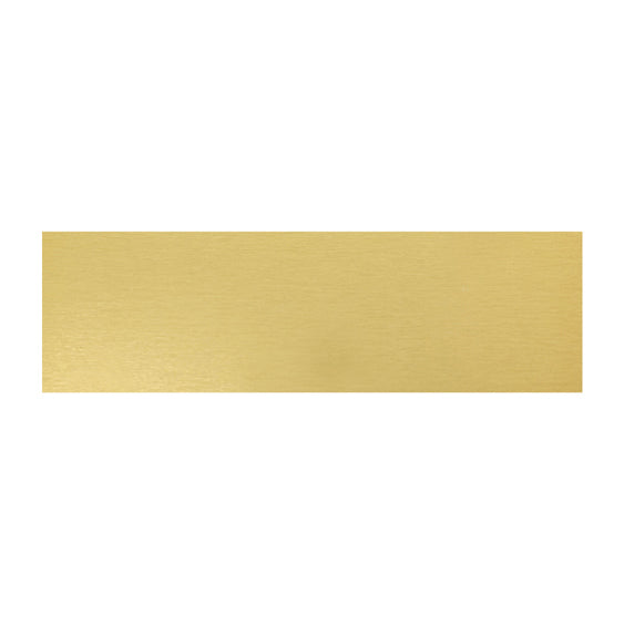 Trophy Plate - 74x22mm