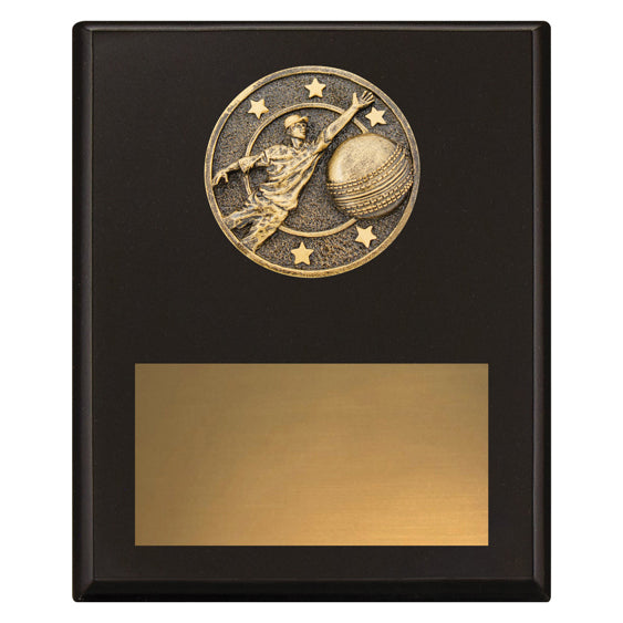 Challenge Plaque - Fielding