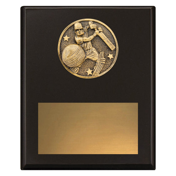 Challenge Plaque - Batting