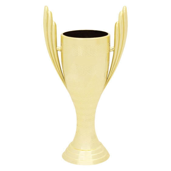 Guardian Cup