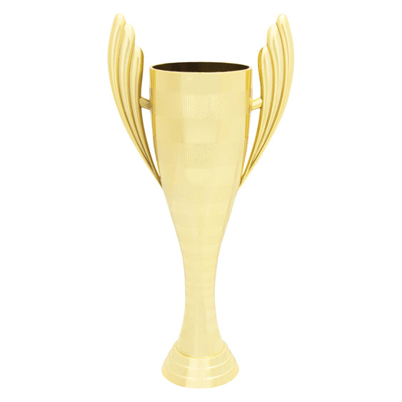 Guardian Cup