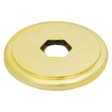 Gold Lid - Flat