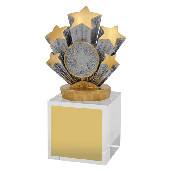 Achievement Budget Crystal