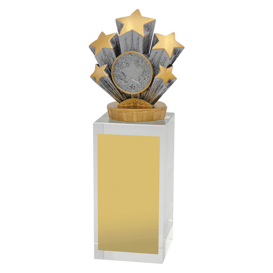 Achievement Budget Crystal