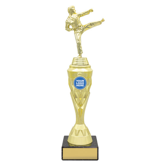 Karate Gold Vector