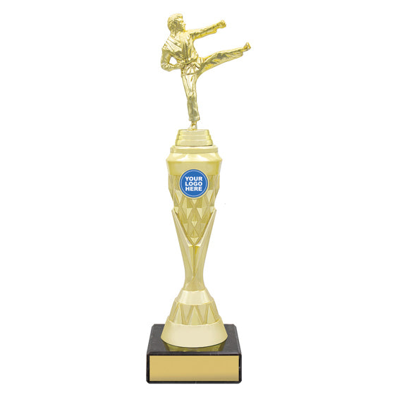 Karate Gold Vector